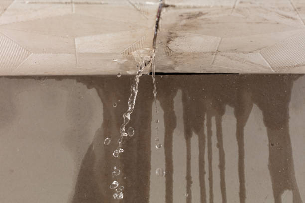 Professional Structural Drying technician working in Harrisville, WV